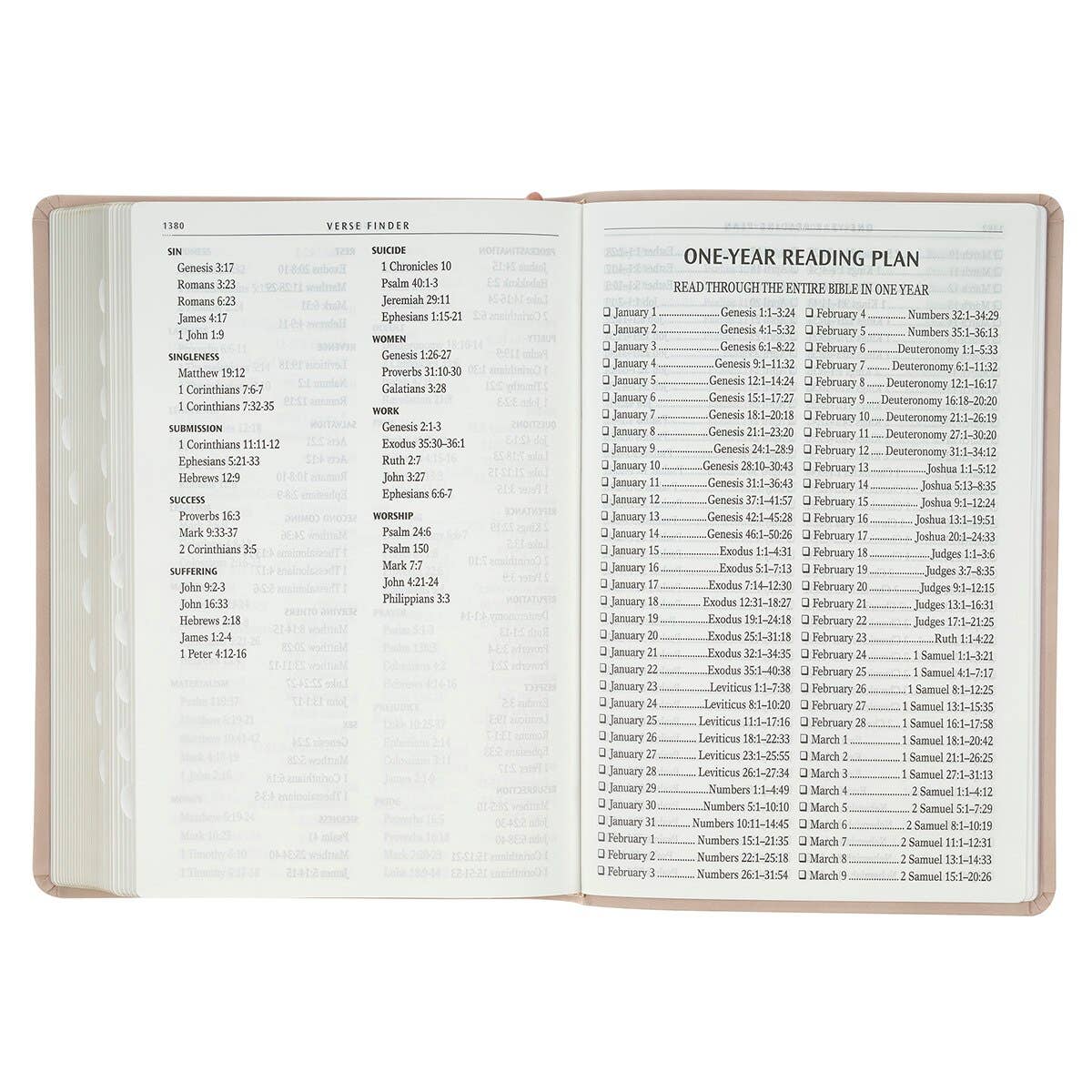 KJV Bible Giant Print Full-size Faux Leather, Dusty Pink