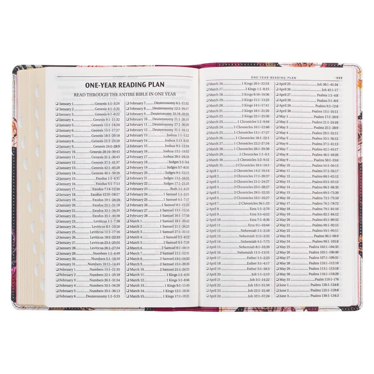 Black & Burgundy Faux Leather Large Print  KJV Bible w/tabs