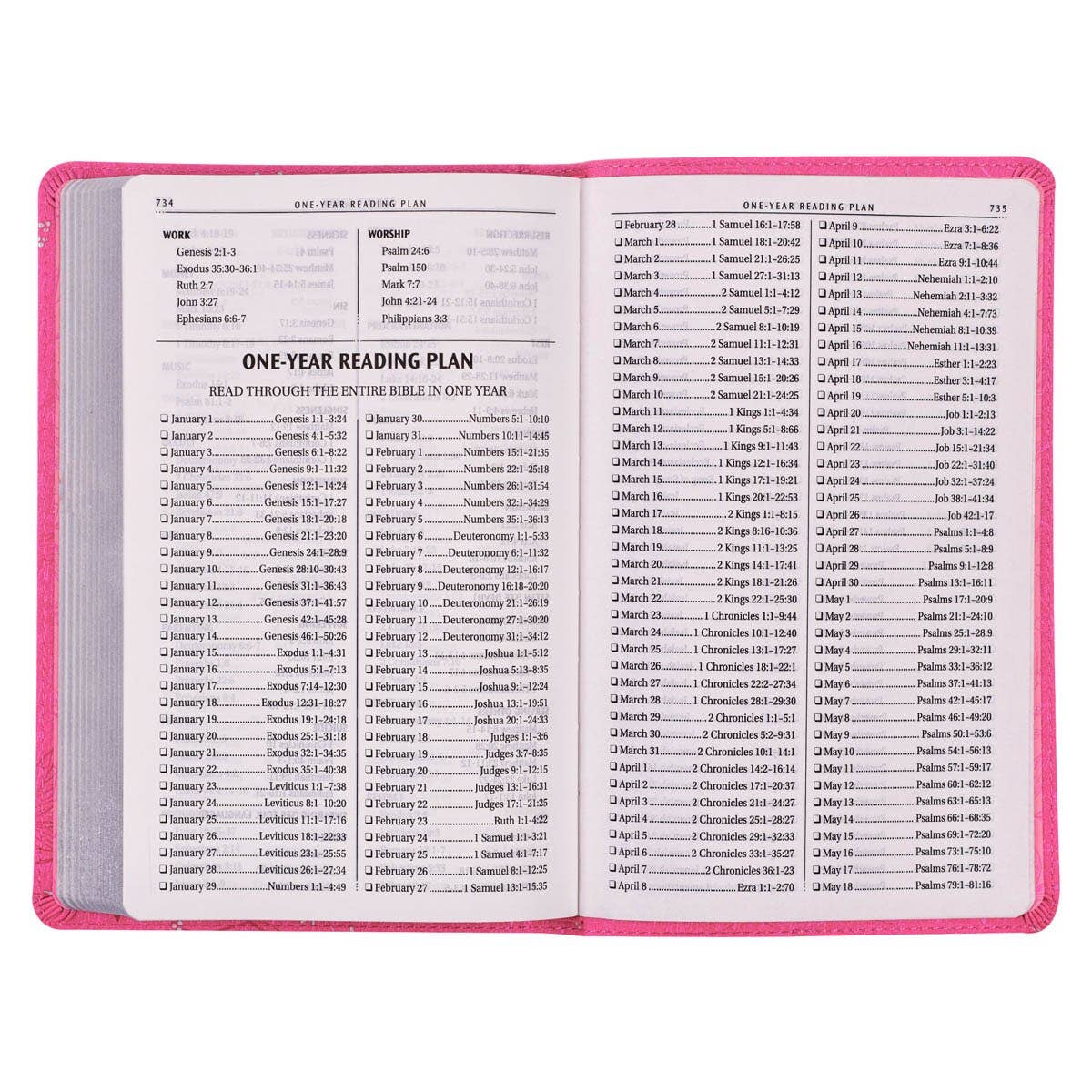 KJV Bible Gift Edition Faux Leather, Pink