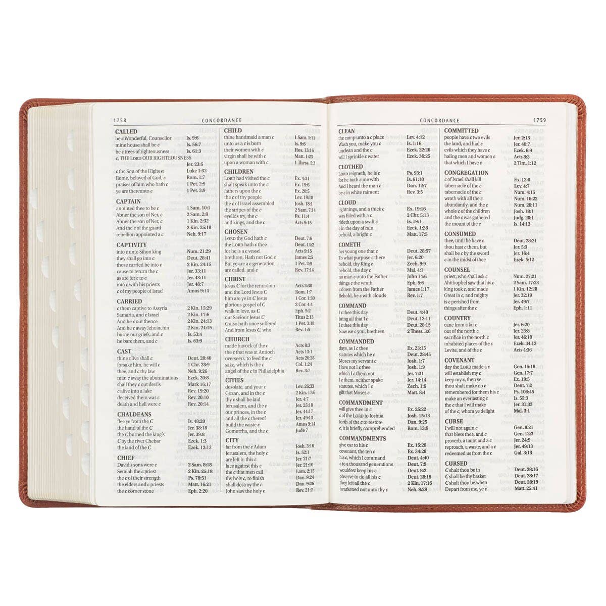 Brown Faux Leather Giant Print King James Bible