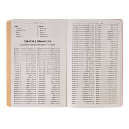 KJV Bible Gift Faux Leather, Pink