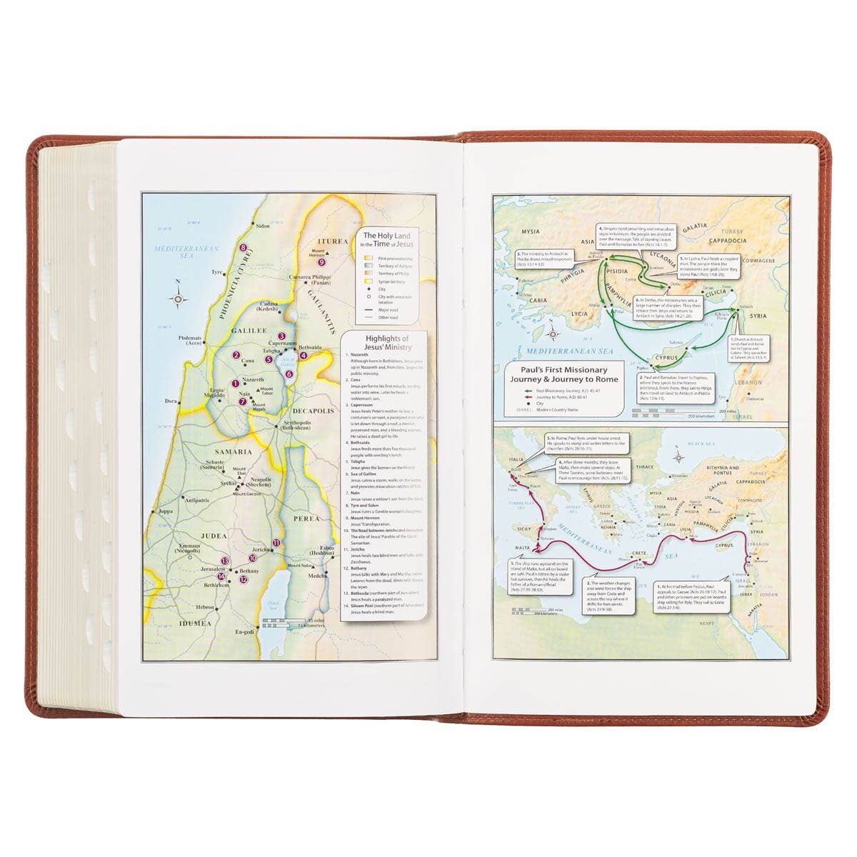 Brown Faux Leather Giant Print King James Bible