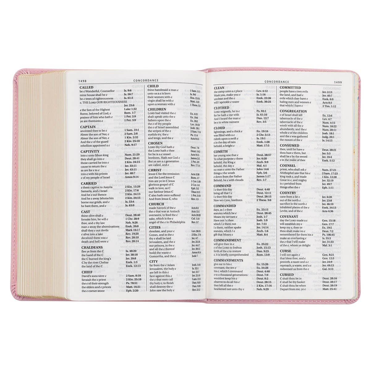 KJV Bible Compact LP Faux Leather, Pink