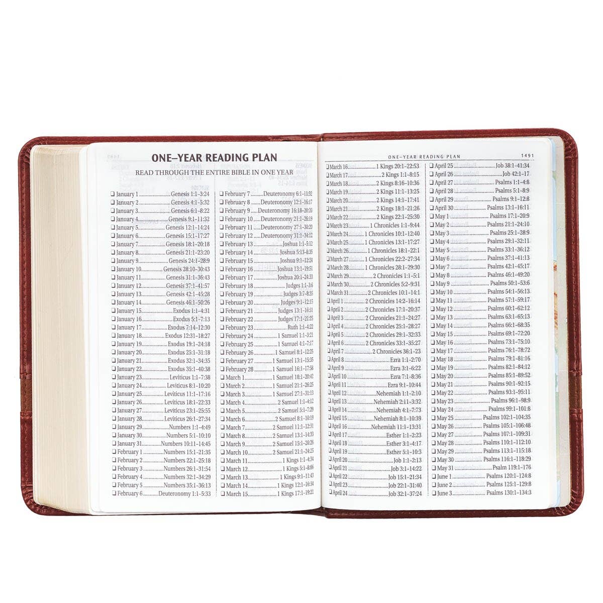 KJV Bible Compact LP Faux Leather, Brown Two-tone