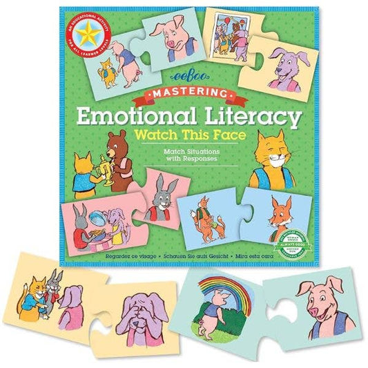 Emotional Literacy - Match Situations