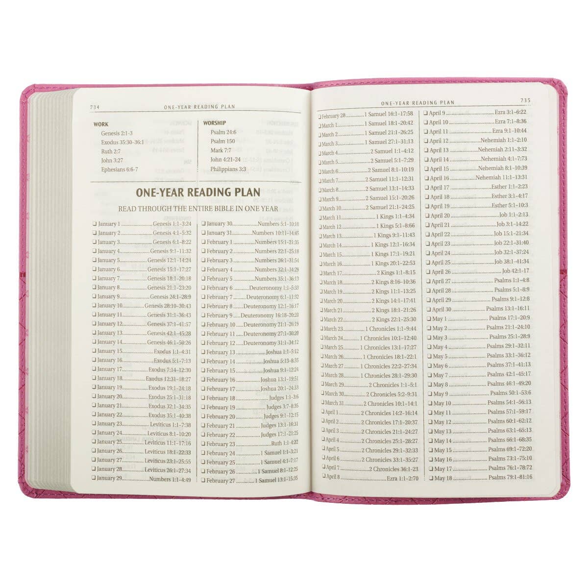 KJV Bible Gift Edition Faux Leather, Pink