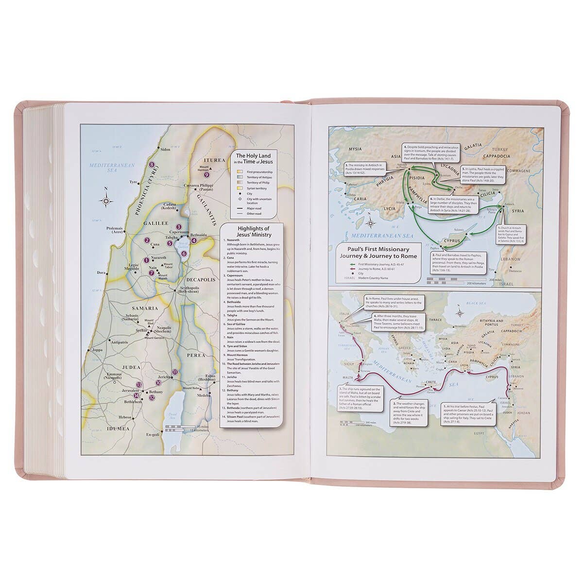 KJV Bible Giant Print Full-size Faux Leather, Dusty Pink