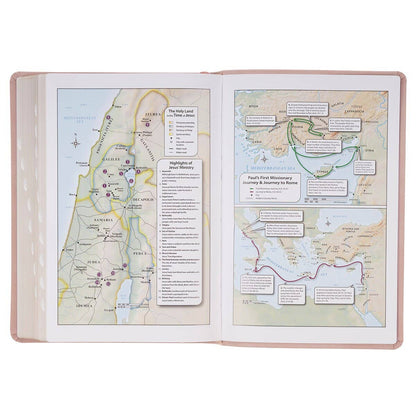 KJV Bible Giant Print Full-size Faux Leather, Dusty Pink